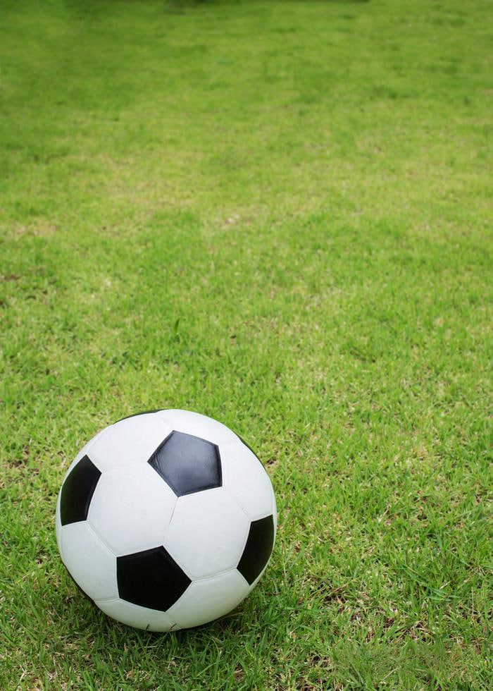 足球预测精准免费的app界面展示